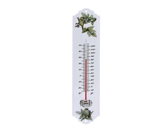 ZL-153 Decorative Bird Wall Thermometer