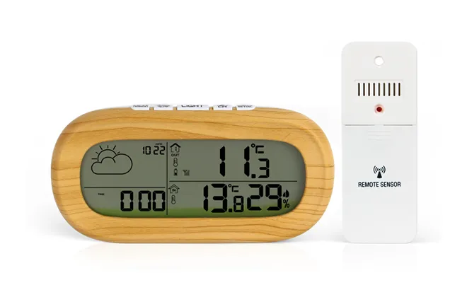 Wireless Weather Station 