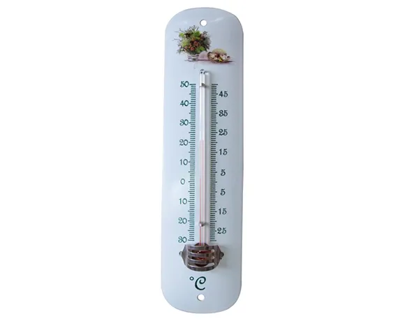ZL-249 Vintage Floral Wall Thermometer