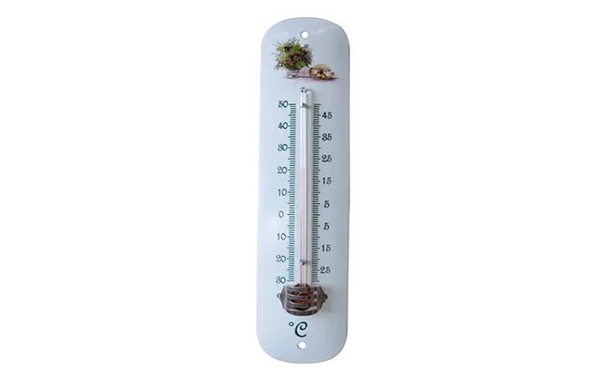 plastic thermometer