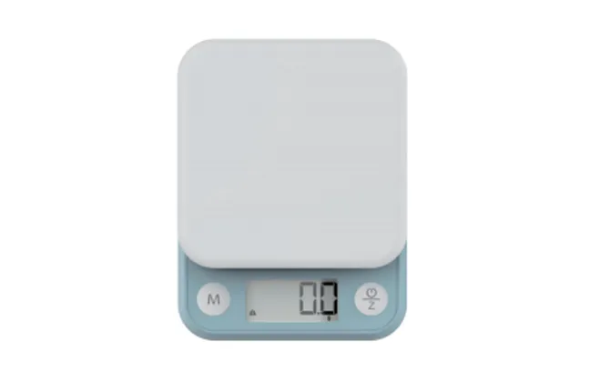 electronic food scale