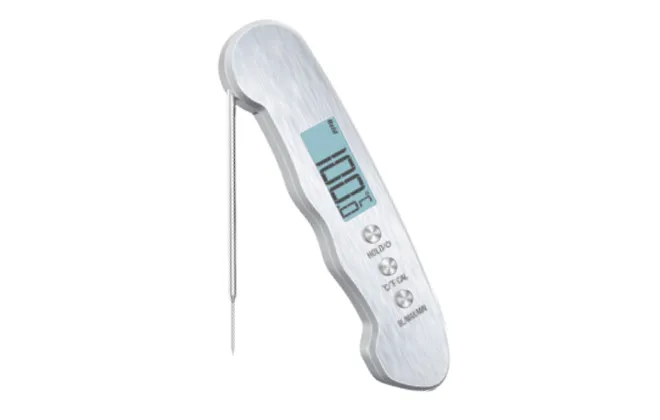 meat thermometer for grilling