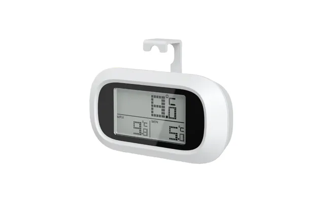 Fridge Thermometer