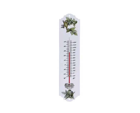 Plastic Thermometer